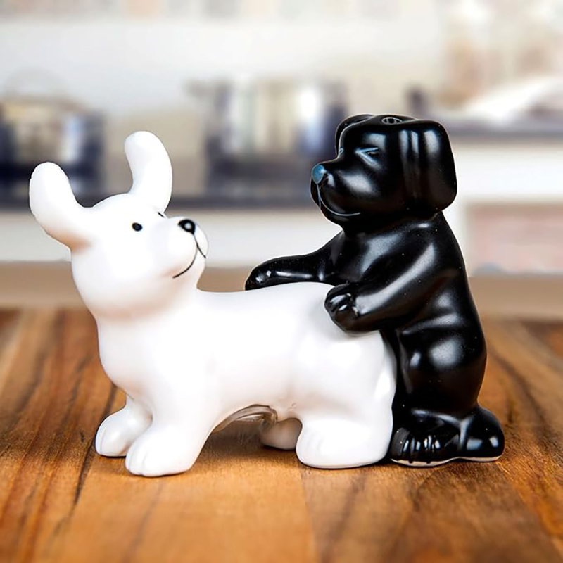 Korean Kitchen Gadgets - Siyah Beyaz Seramik Köpek Tuzluk ve