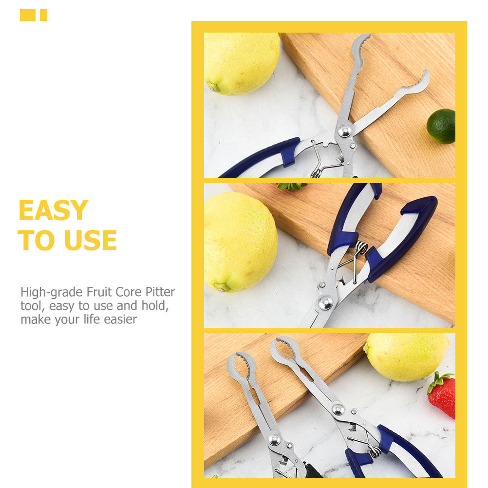 Alıç Çekirdeği Çıkarma Aleti T - Kitchen Gadgets Usa incelemesi ve fiyatı